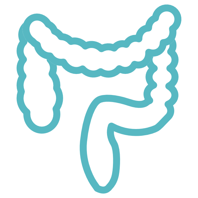 Proctosigmoidoscopia